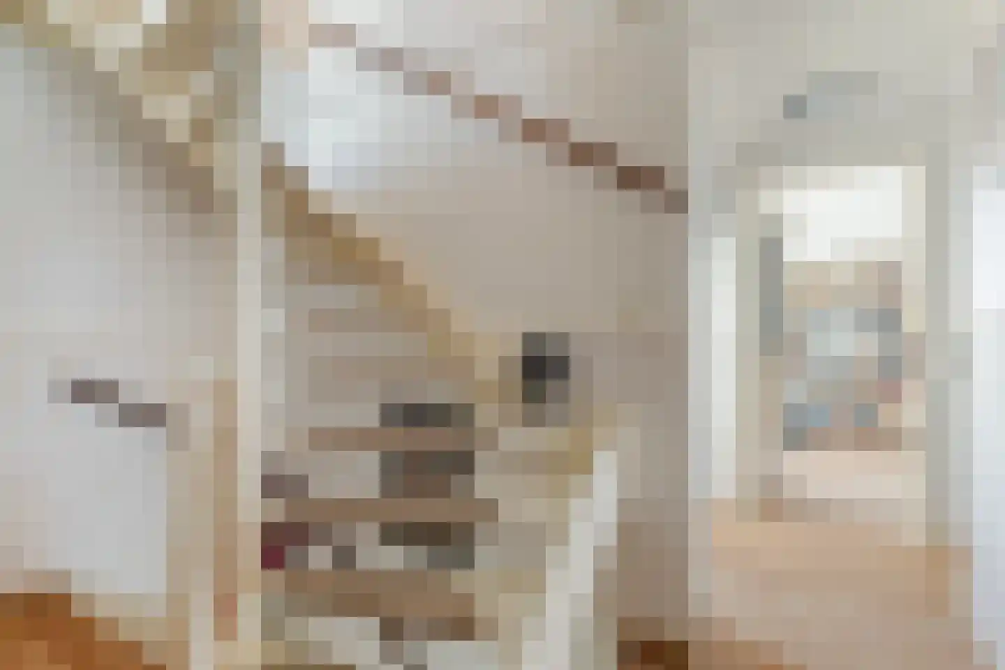 De Broll 35 Ferwert thumbnail 19