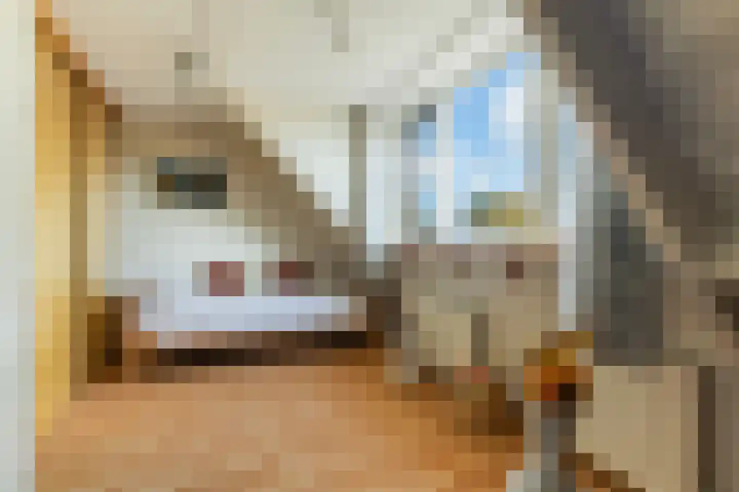 De Broll 35 Ferwert thumbnail 28