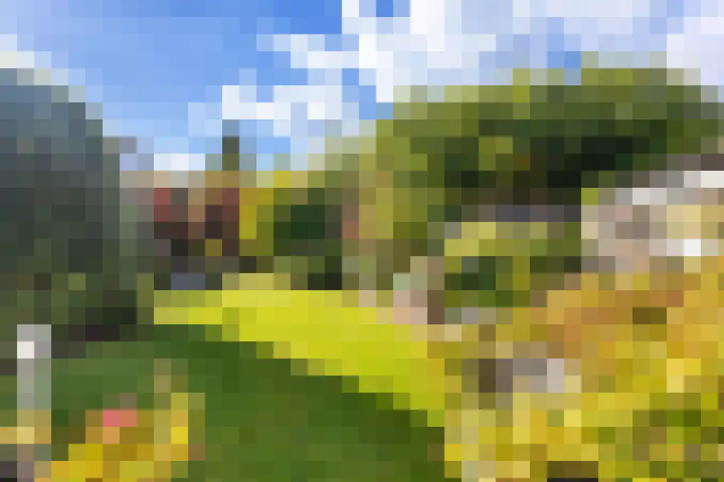 De Broll 35 Ferwert thumbnail 39