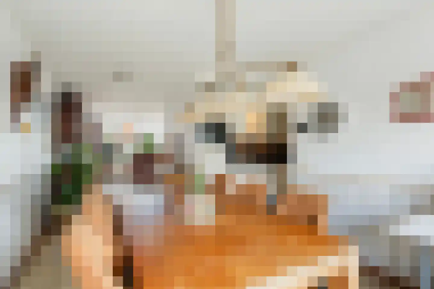 De Broll 35 Ferwert thumbnail 4