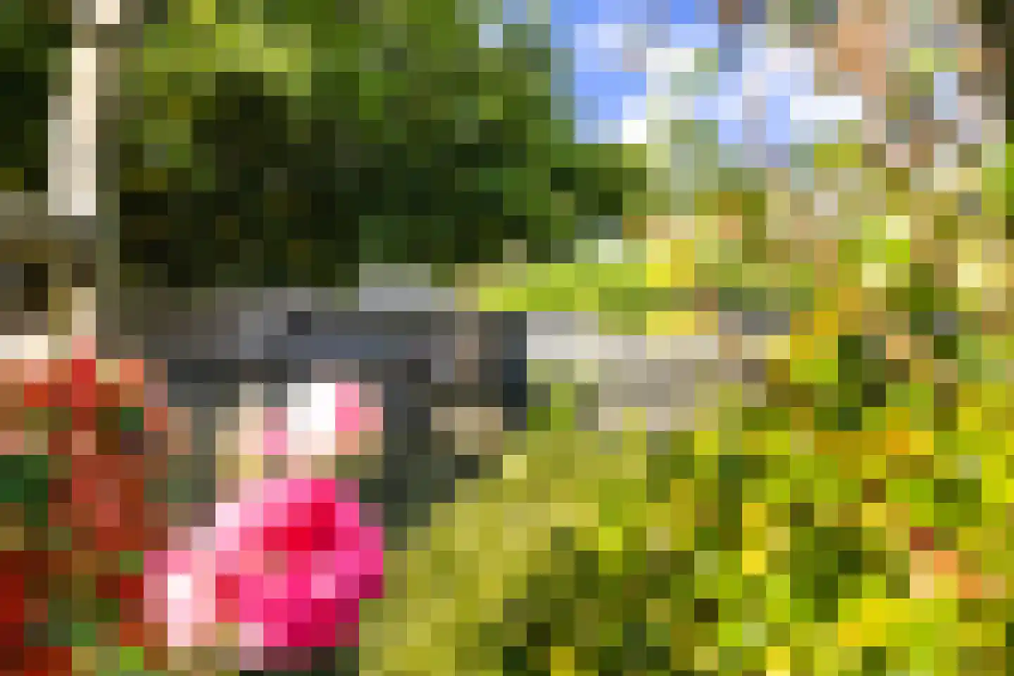 De Broll 35 Ferwert thumbnail 40