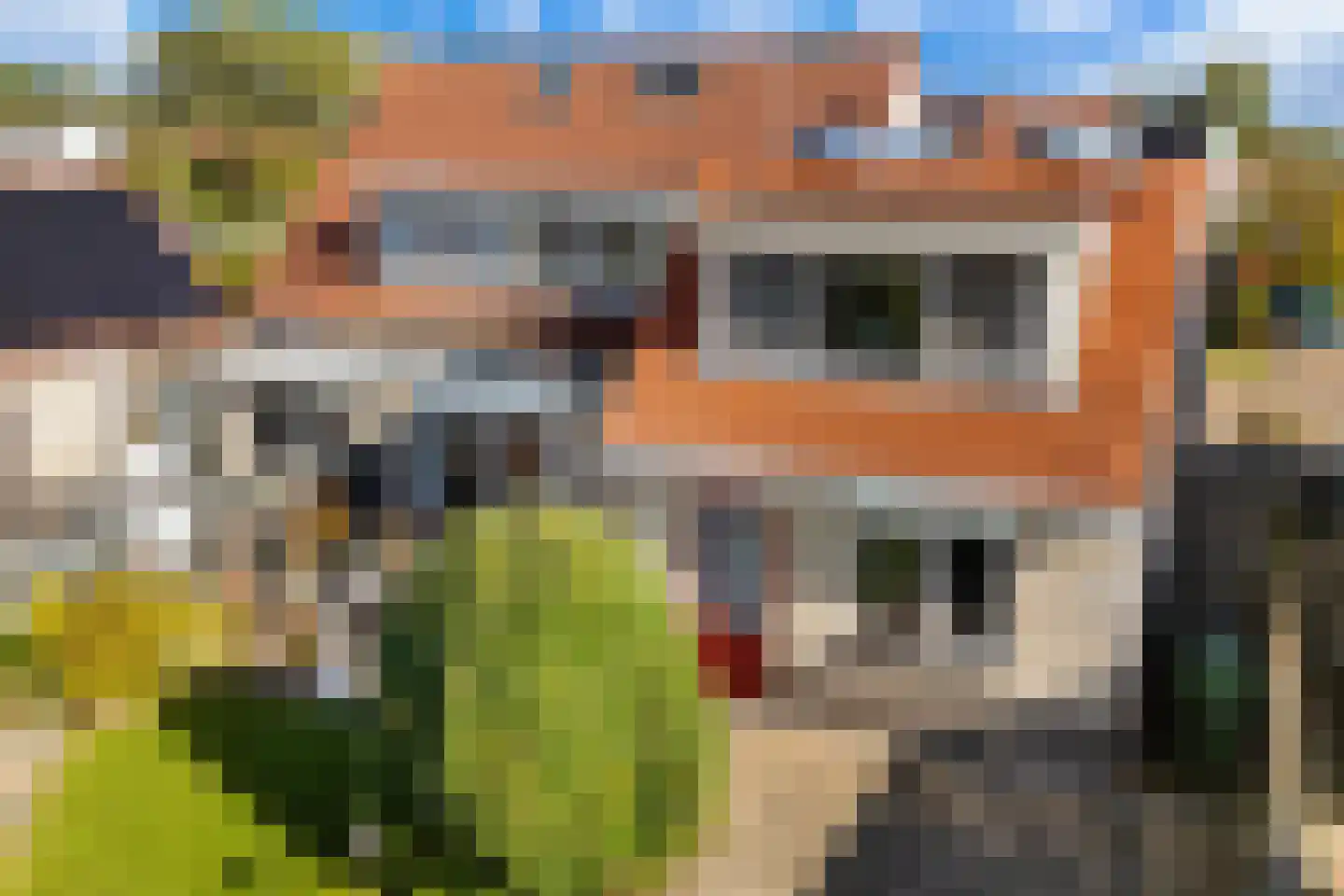 De Broll 35 Ferwert thumbnail 41