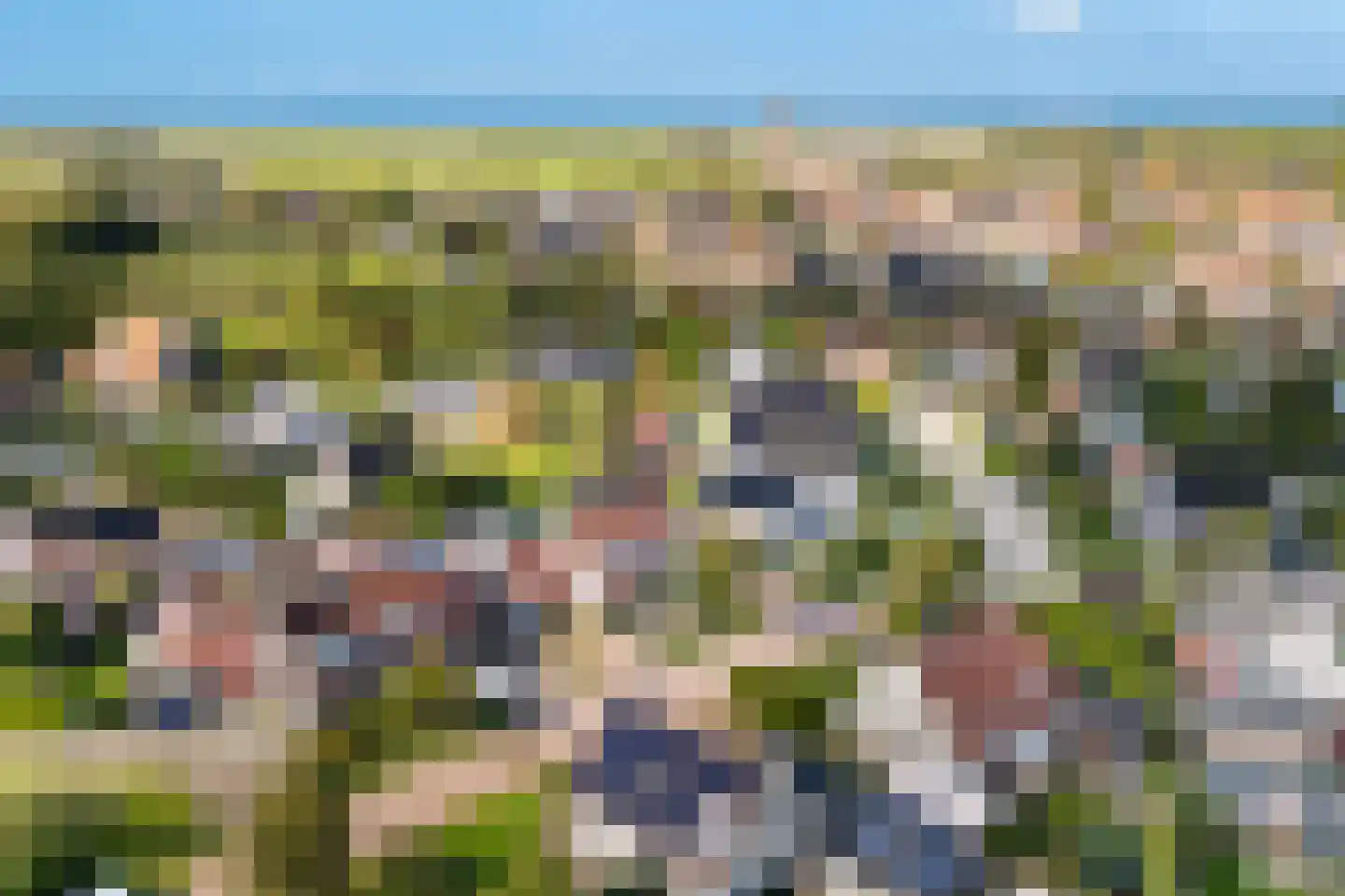 De Broll 35 Ferwert thumbnail 46