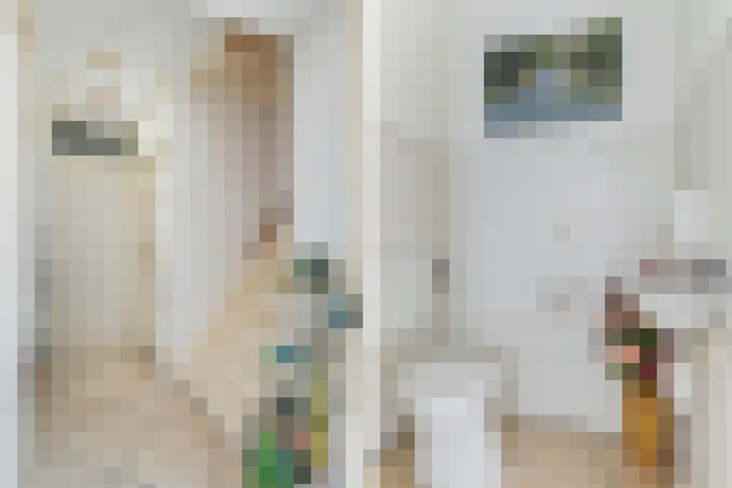 De Broll 35 Ferwert thumbnail 7
