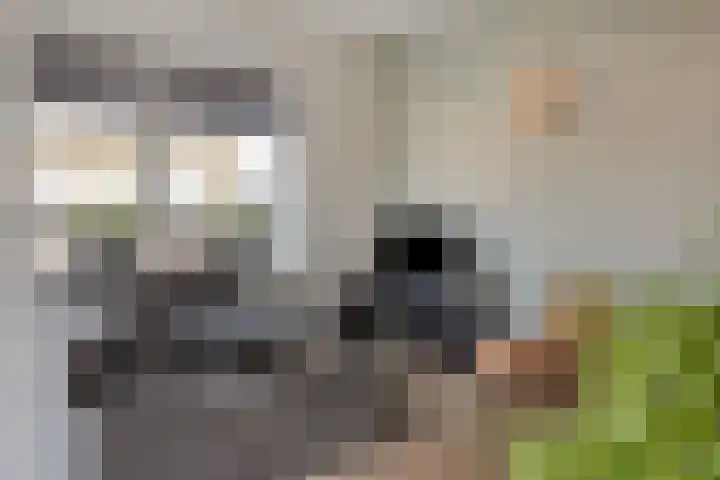 De Bron 8 Lunteren thumbnail 17