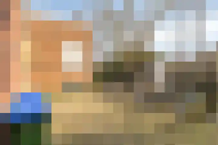 De Bron 8 Lunteren thumbnail 26