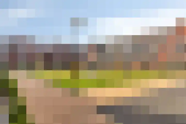 De Bron 8 Lunteren thumbnail 33