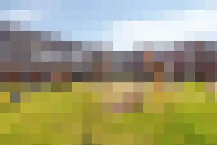 De Bron 8 Lunteren thumbnail 34
