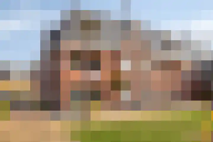 De Bron 8 Lunteren thumbnail 5