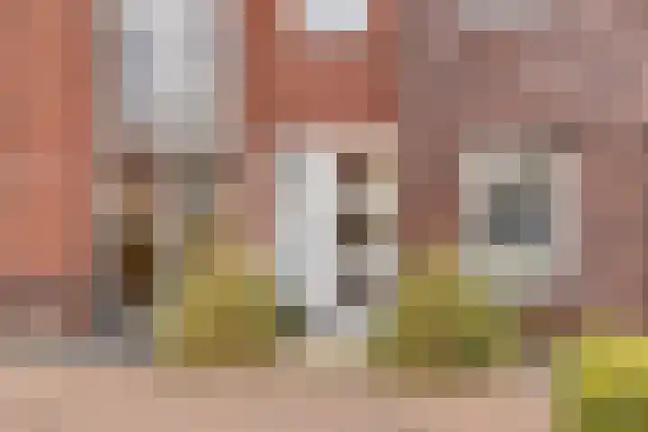 De Bron 8 Lunteren thumbnail 6