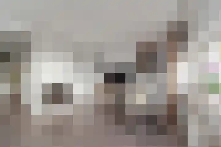 De Bronkhorst 2 Wateringen thumbnail 10