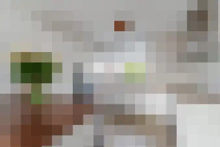 De Bronkhorst 2 Wateringen thumbnail 11