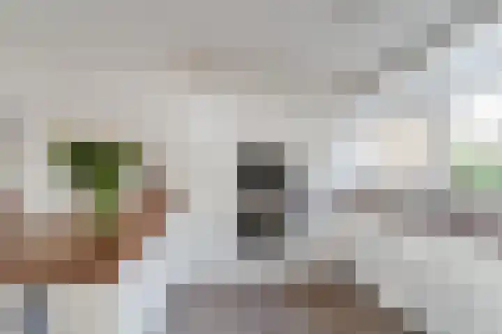 De Bronkhorst 2 Wateringen thumbnail 12