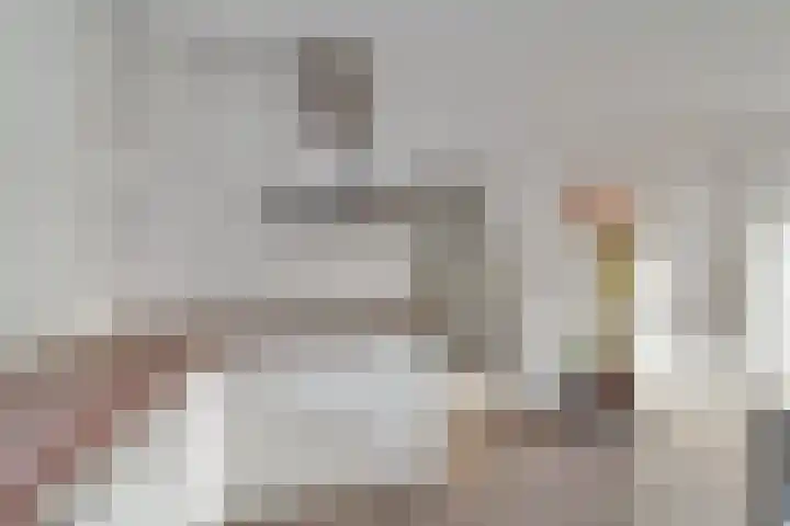 De Bronkhorst 2 Wateringen thumbnail 13