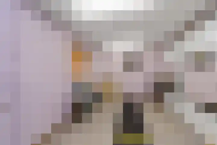 De Bronkhorst 2 Wateringen thumbnail 19