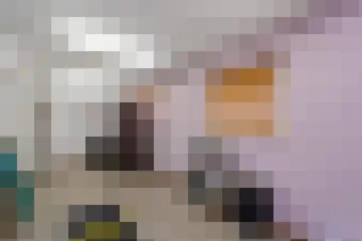 De Bronkhorst 2 Wateringen thumbnail 20