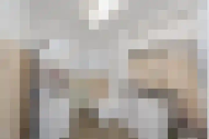 De Bronkhorst 2 Wateringen thumbnail 21