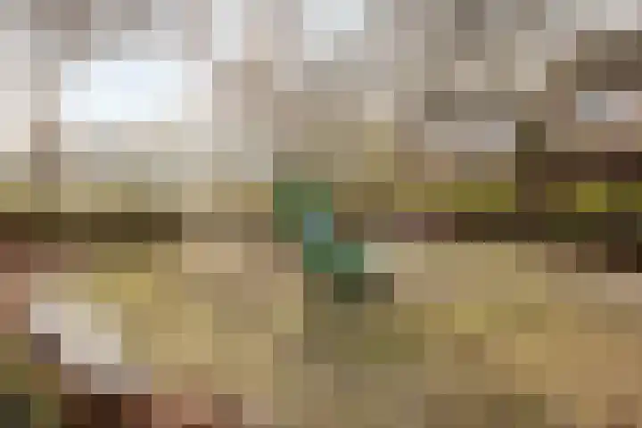 De Bronkhorst 2 Wateringen thumbnail 37