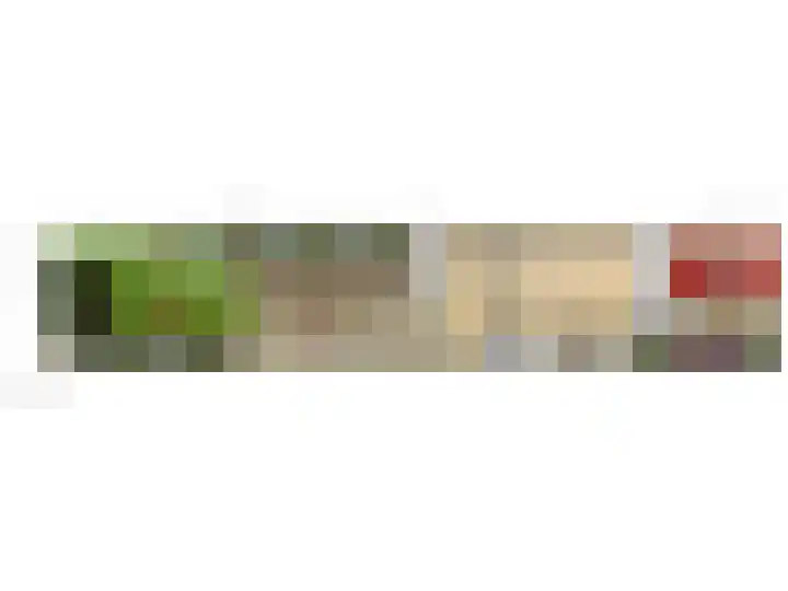 De Bronkhorst 2 Wateringen thumbnail 42