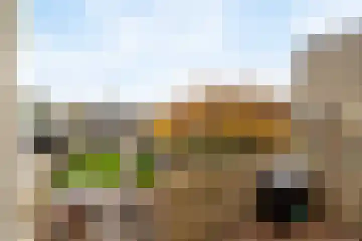 De Bronkhorst 2 Wateringen thumbnail 5