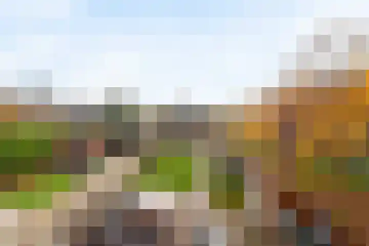 De Bronkhorst 2 Wateringen thumbnail 6