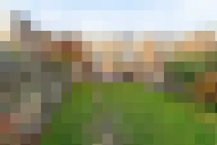 De Bronkhorst 2 Wateringen thumbnail 7