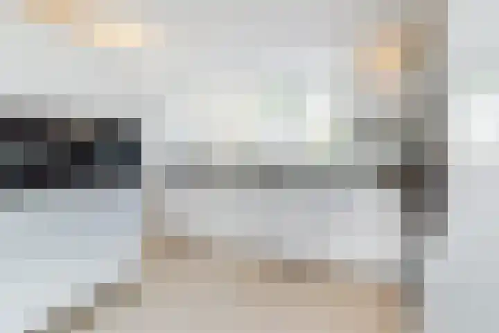 De Bronkhorst 4 Wateringen thumbnail 12