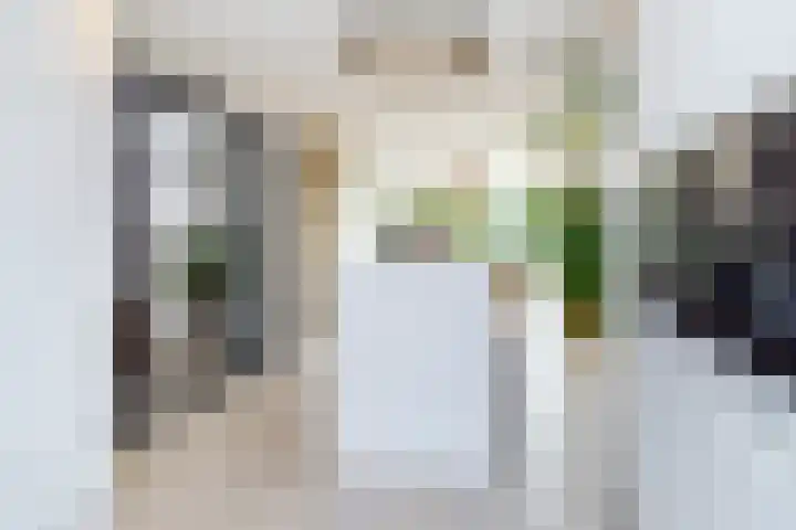 De Bronkhorst 4 Wateringen thumbnail 16