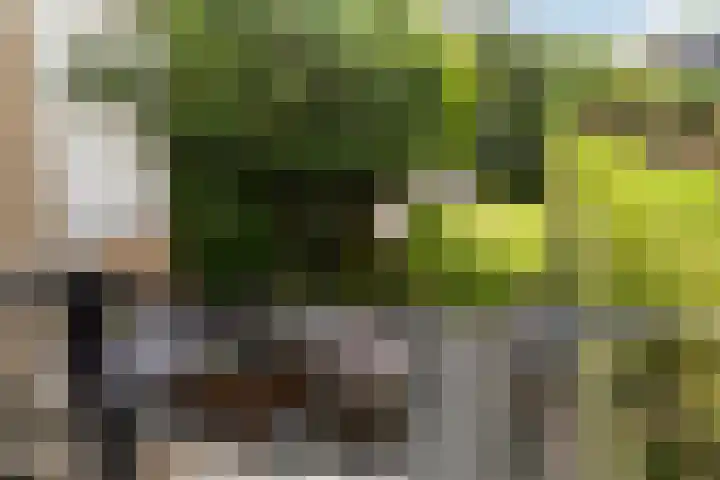 De Bronkhorst 4 Wateringen thumbnail 17