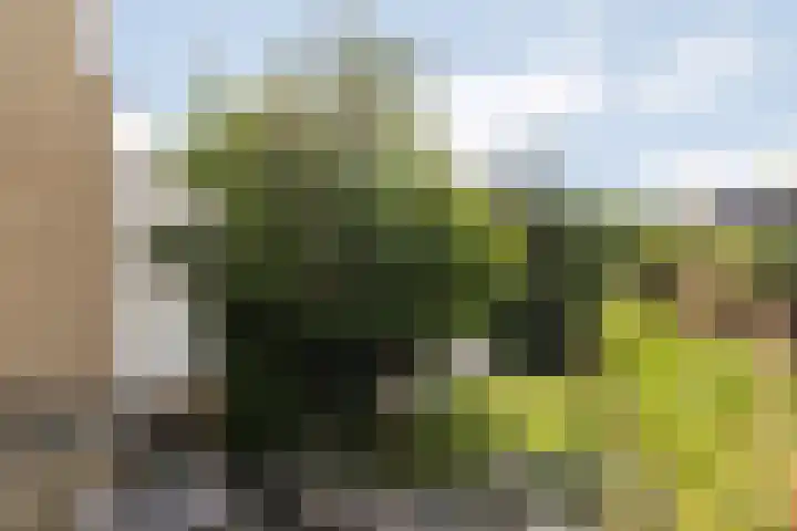 De Bronkhorst 4 Wateringen thumbnail 18