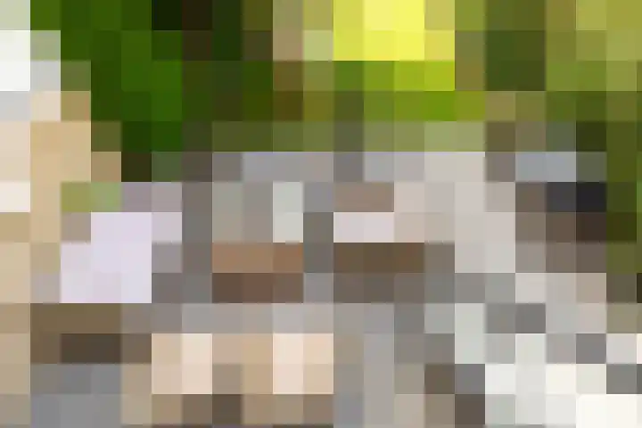 De Bronkhorst 4 Wateringen thumbnail 19