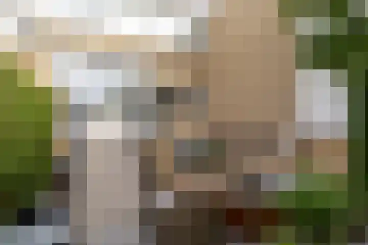 De Bronkhorst 4 Wateringen thumbnail 20