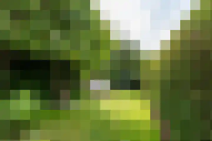 De Bronkhorst 4 Wateringen thumbnail 21