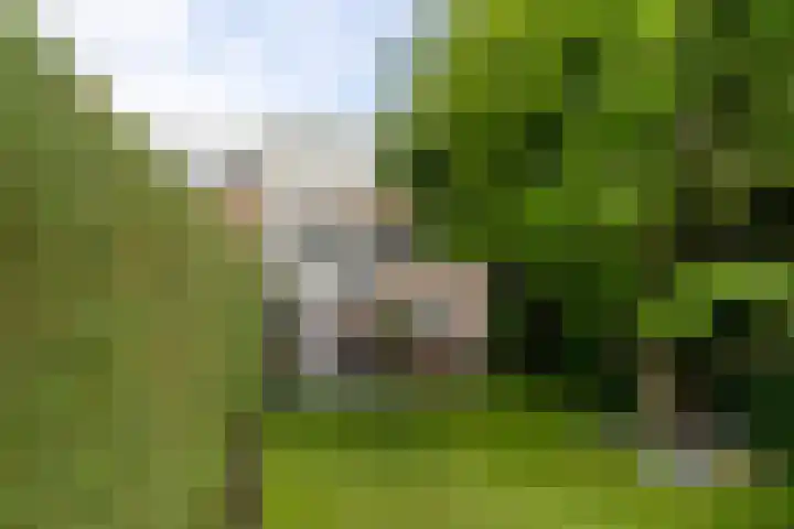 De Bronkhorst 4 Wateringen thumbnail 22