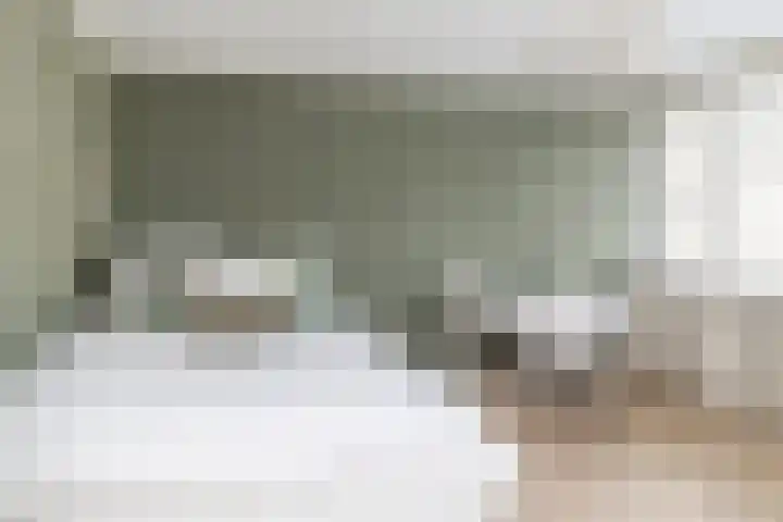 De Bronkhorst 4 Wateringen thumbnail 27