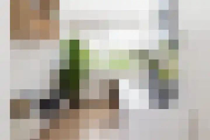 De Bronkhorst 4 Wateringen thumbnail 30