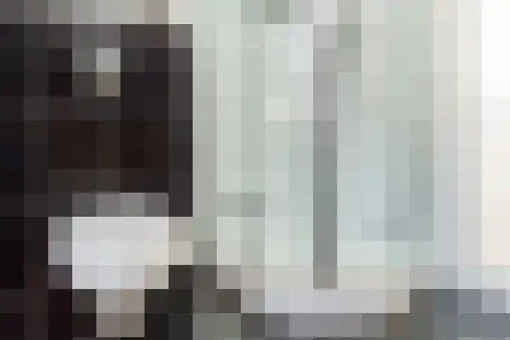 De Bronkhorst 4 Wateringen thumbnail 33