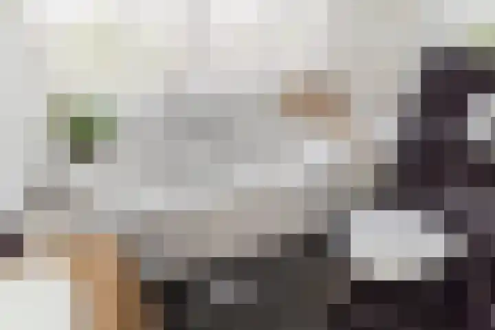 De Bronkhorst 4 Wateringen thumbnail 35