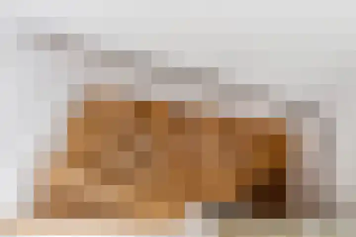 De Bronkhorst 4 Wateringen thumbnail 37