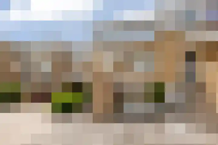De Bronkhorst 4 Wateringen thumbnail 43