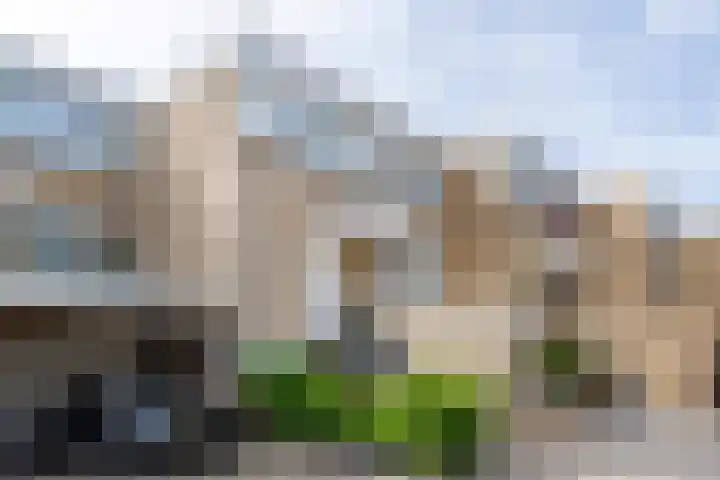 De Bronkhorst 4 Wateringen thumbnail 44