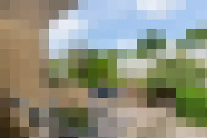 De Bronkhorst 4 Wateringen thumbnail 45