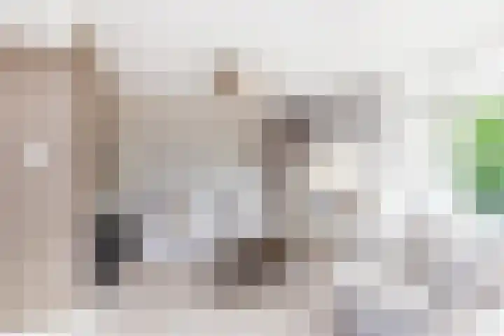 De Bronkhorst 4 Wateringen thumbnail 6