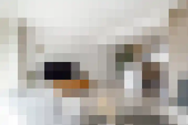 De Bronkhorst 4 Wateringen thumbnail 7