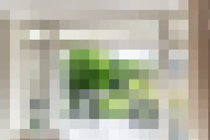 De Bronkhorst 4 Wateringen thumbnail 8