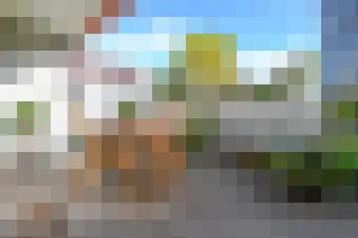 de Bronnen 17 Beverwijk thumbnail 28