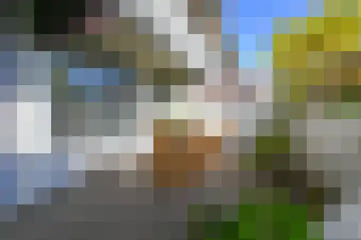 de Bronnen 17 Beverwijk thumbnail 30