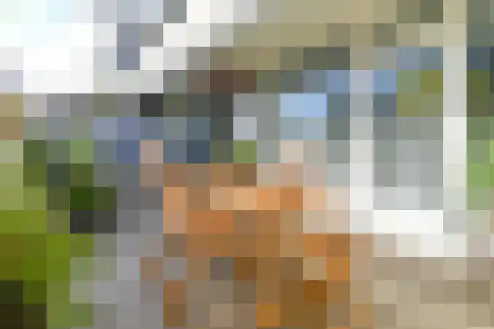 de Bronnen 17 Beverwijk thumbnail 31