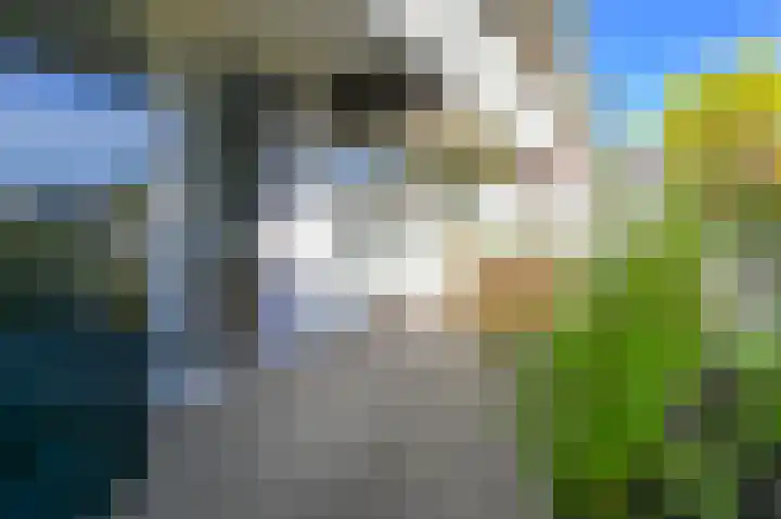 de Bronnen 17 Beverwijk thumbnail 33