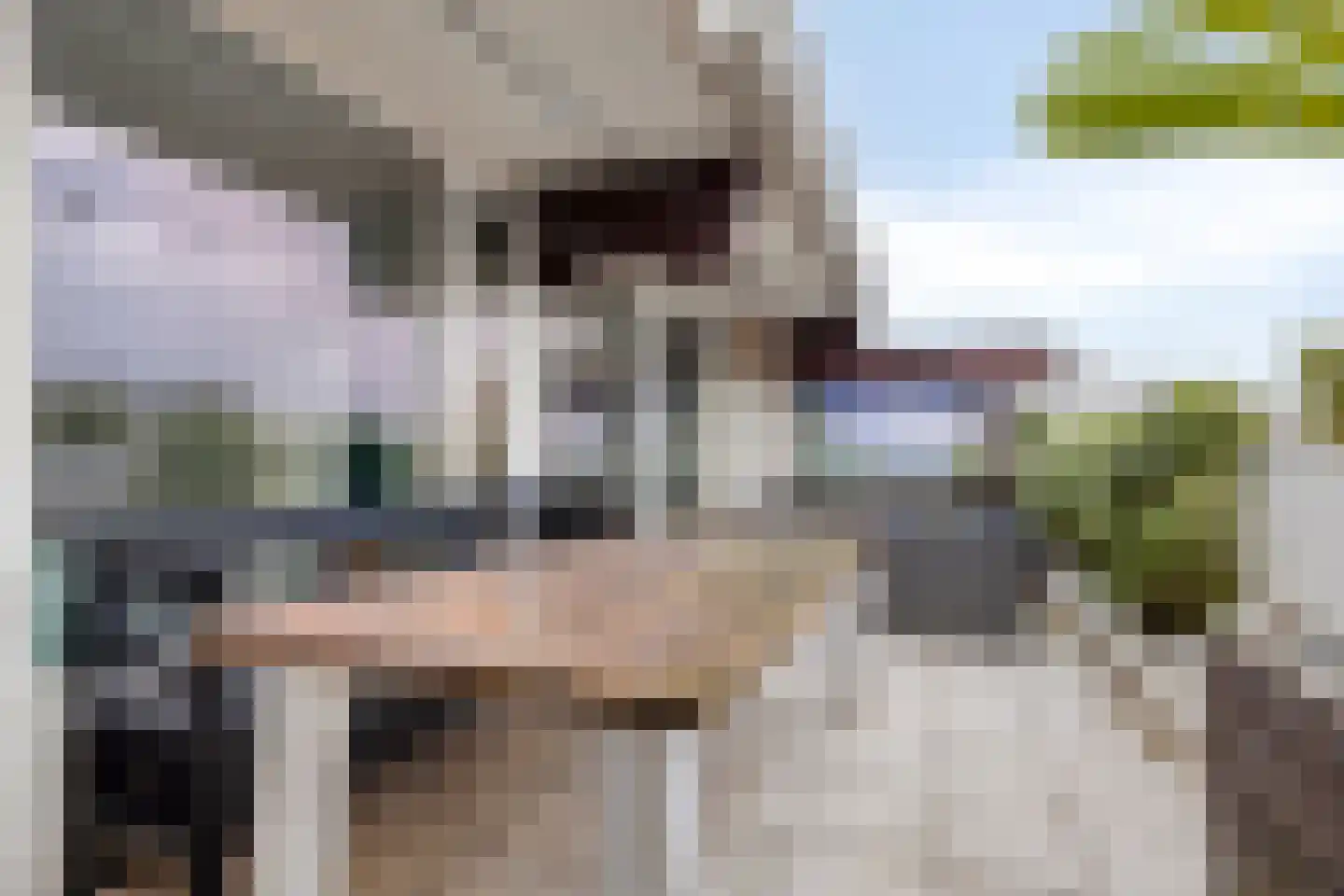 de Bronnen 23 Beverwijk thumbnail 18